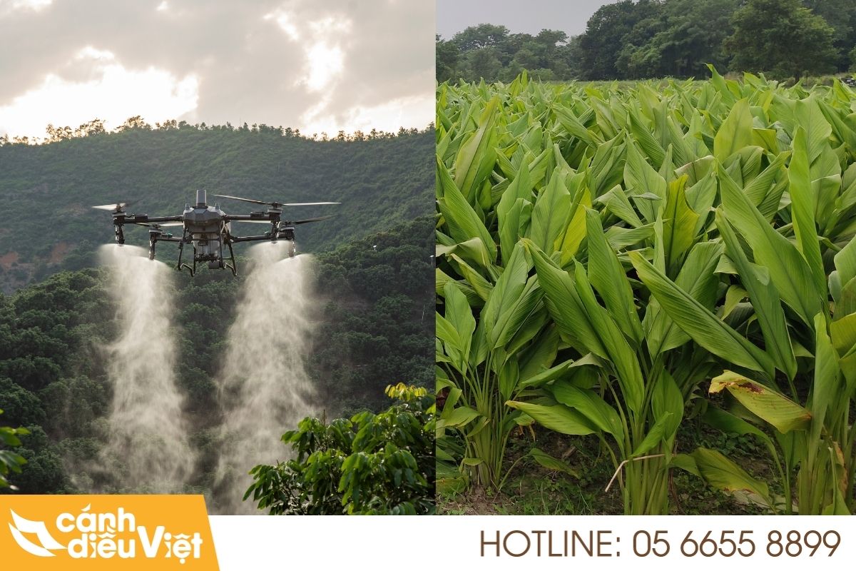 Quy trình phun nghệ hiệu quả với dji t70p