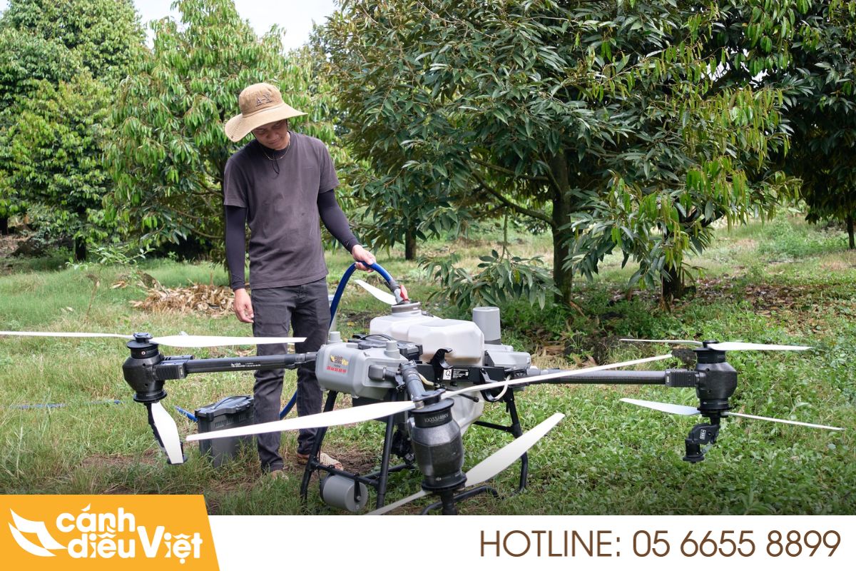 Quy trình phun thuốc bằng máy bay cho cây đậu phộng