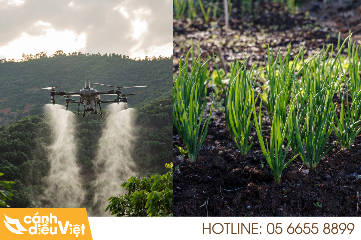 Máy bay phun thuốc cho cây hành lá X2 hiệu suất 6 Quy trình phun thuốc bằng máy bay cho cây hành lá