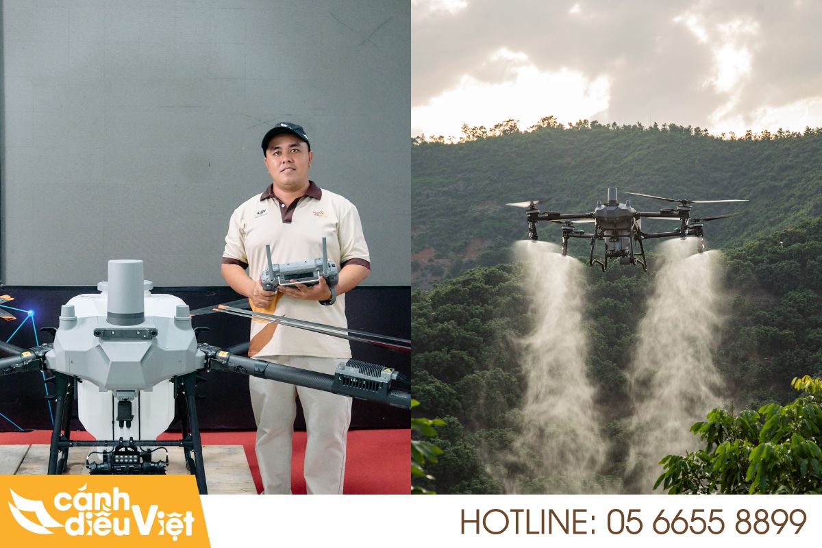 Quy trình phun thuốc cho cây chuối bằng dji t70p