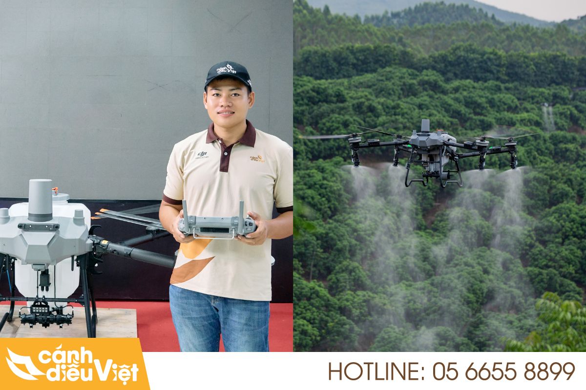 Ứng Dụng Máy bay DJI T70P Phun Thuốc Cho Cây Xoài 6 Quy trình phun thuốc cho cây xoài bằng dji t70p