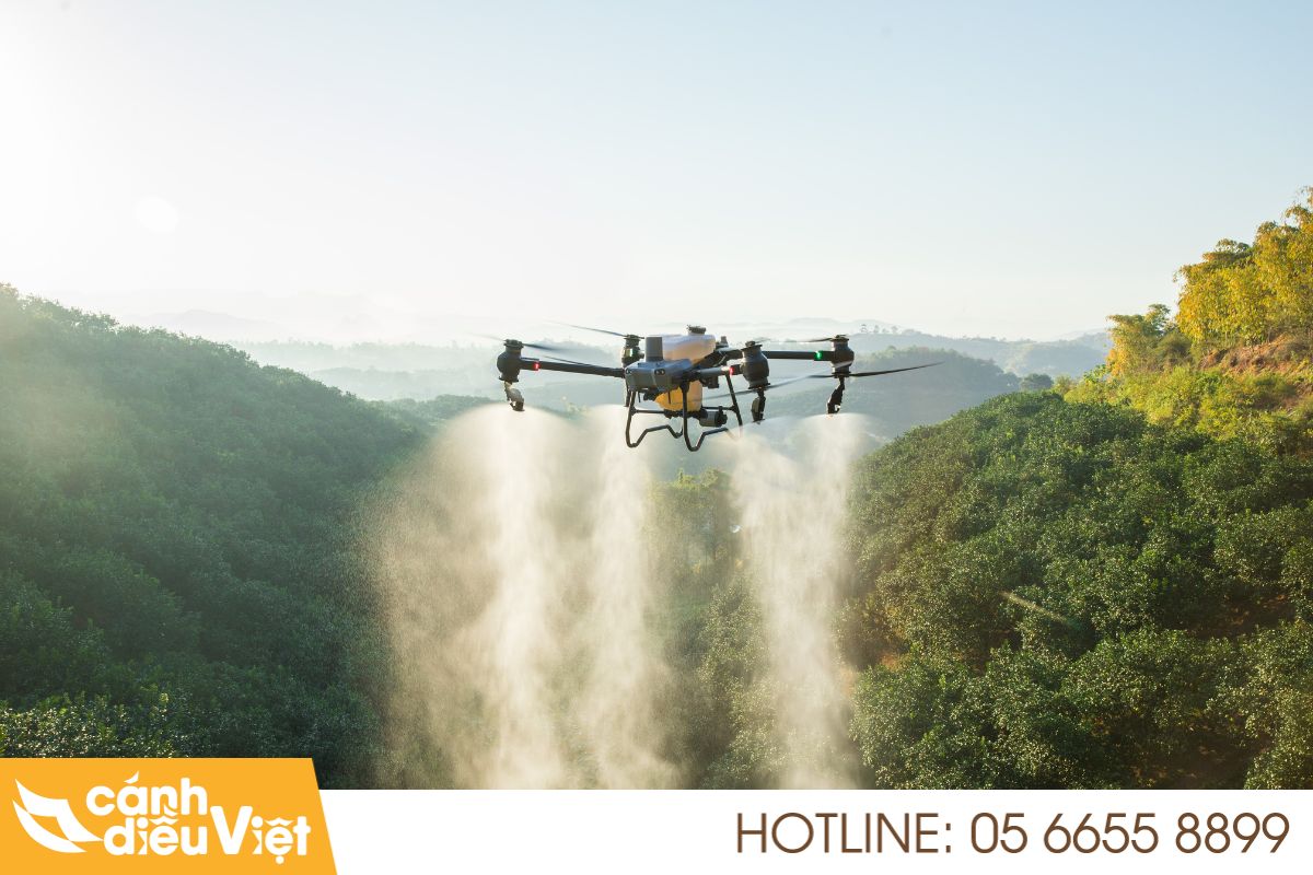 Quy trình sử dụng máy bay phun thuốc phòng trừ kiến đen