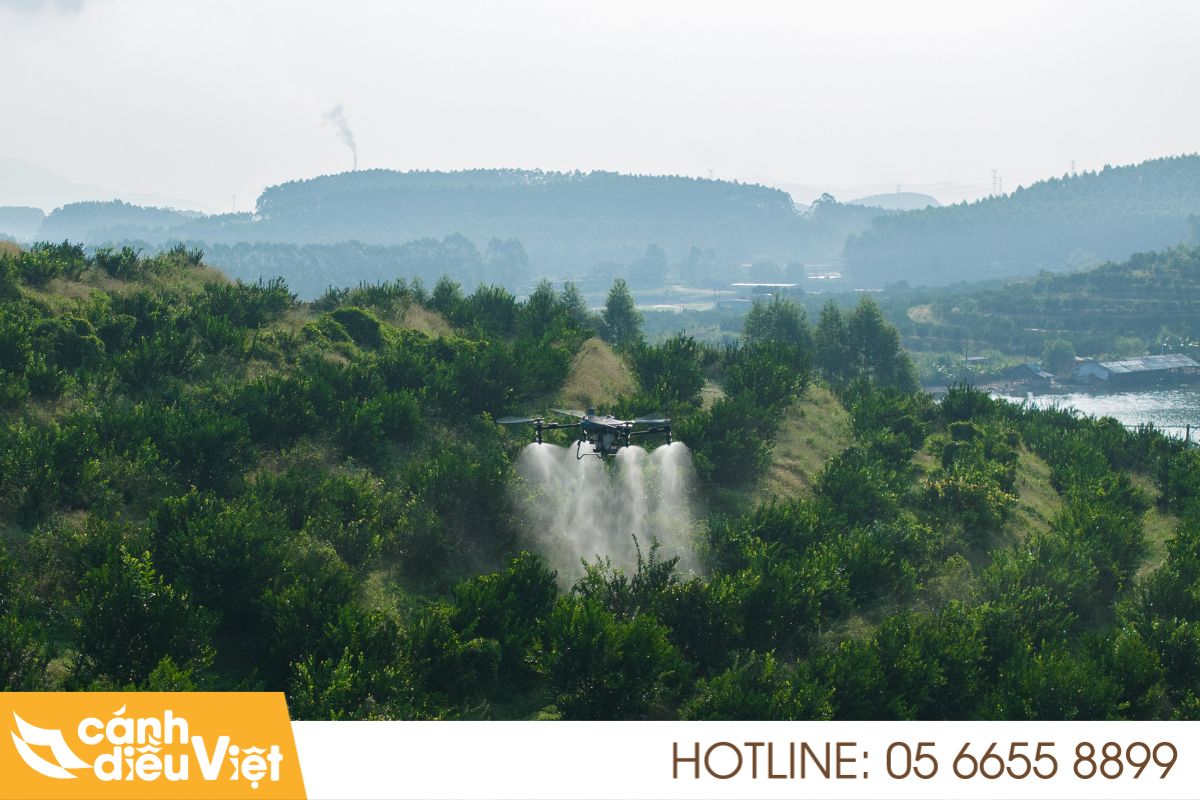 Quy trình sử dụng máy bay phun thuốc sau thu hoạch