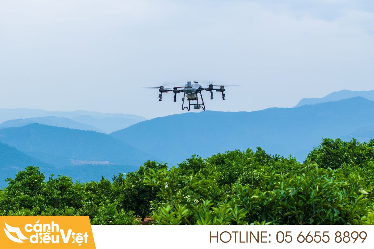 Review DJI Agras T25P 6 Review dji agras t25p