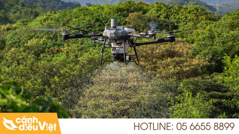 Review DJI Agras T70P: Giải Pháp Tối Ưu Nông Nghiệp quy mô lớn 7 Review khả năng phun thuốc rải phân của DJI T70P