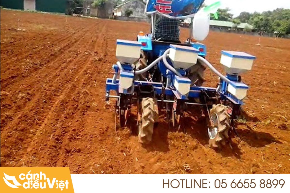 Các phương pháp sạ giống cho cây ngô 4 Sạ hàng bằng máy – Giải pháp bán cơ giới hóa