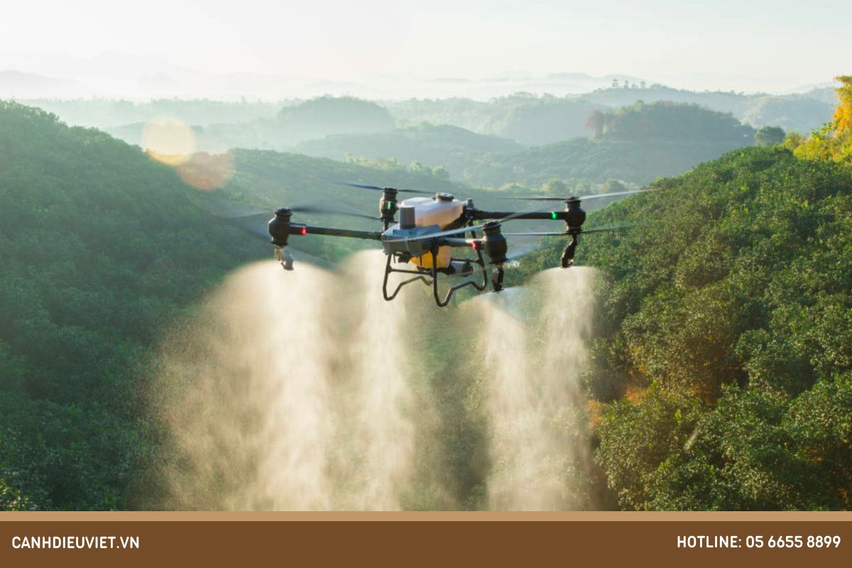 Cách phòng trừ loại bọ vòi voi hại mãng cầu na hiệu quả 8 Sử dụng máy bay nông nghiệp để phòng trừ bọ vòi voi cho cây mãng cầu đạt hiệu quả cao