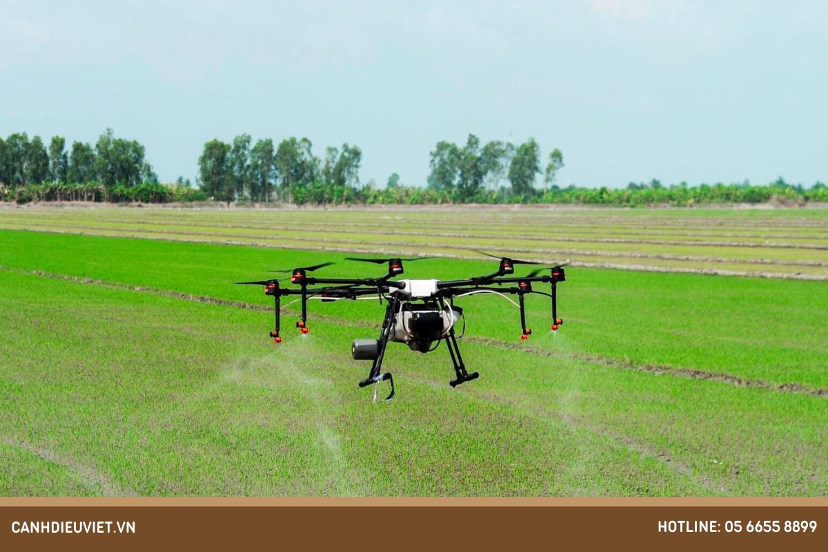 Su dung may bay phun thuoc dem lai nang suat cao cho cay lua