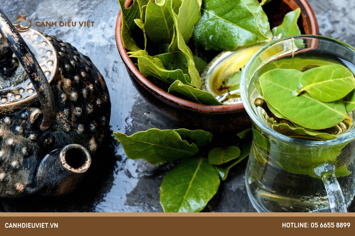 Giá chè hôm nay là bao nhiêu? cập nhật chính xác 5 Tác dụng tuyệt vời của chè đối với sức khoẻ