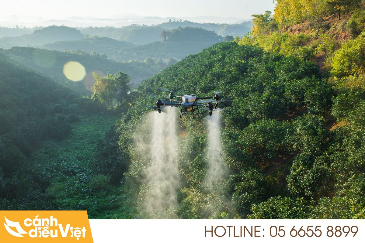 Tiềm năng ứng dụng tại Đắk Nông