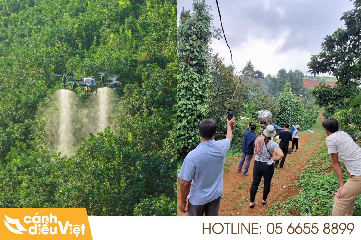 Máy Bay Phun Thuốc Cho Quế X2 Năng Suất, Giảm Chi Phí 5 Tính năng ưu việt của máy bay phun thuốc cho quế