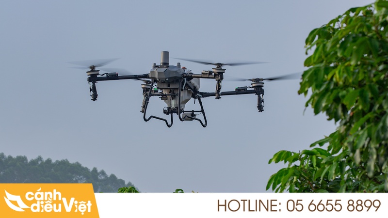 Review DJI Agras T70P: Giải Pháp Tối Ưu Nông Nghiệp quy mô lớn 5 Tổng quan về DJI Agras T70P