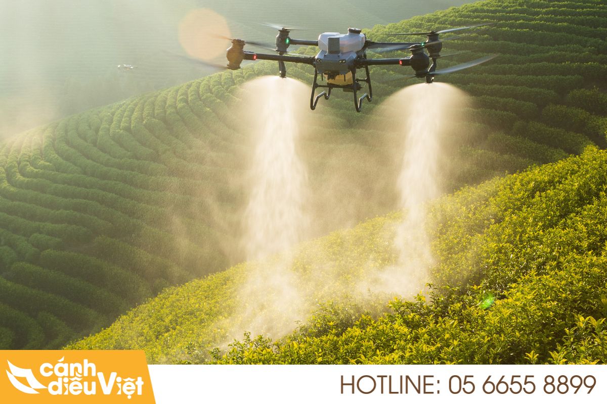 5 Chức Năng Nổi Bật Của Máy Bay Nông Nghiệp Đối Với Nhà Nông 4 Tưới nước cho cây trồng
