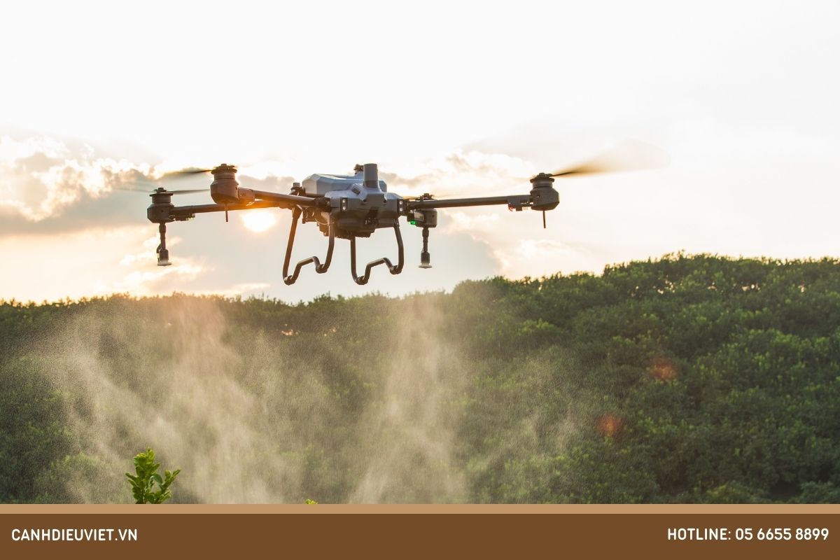 Ứng dụng công nghệ mới phòng chống nhện đỏ hại đu đủ