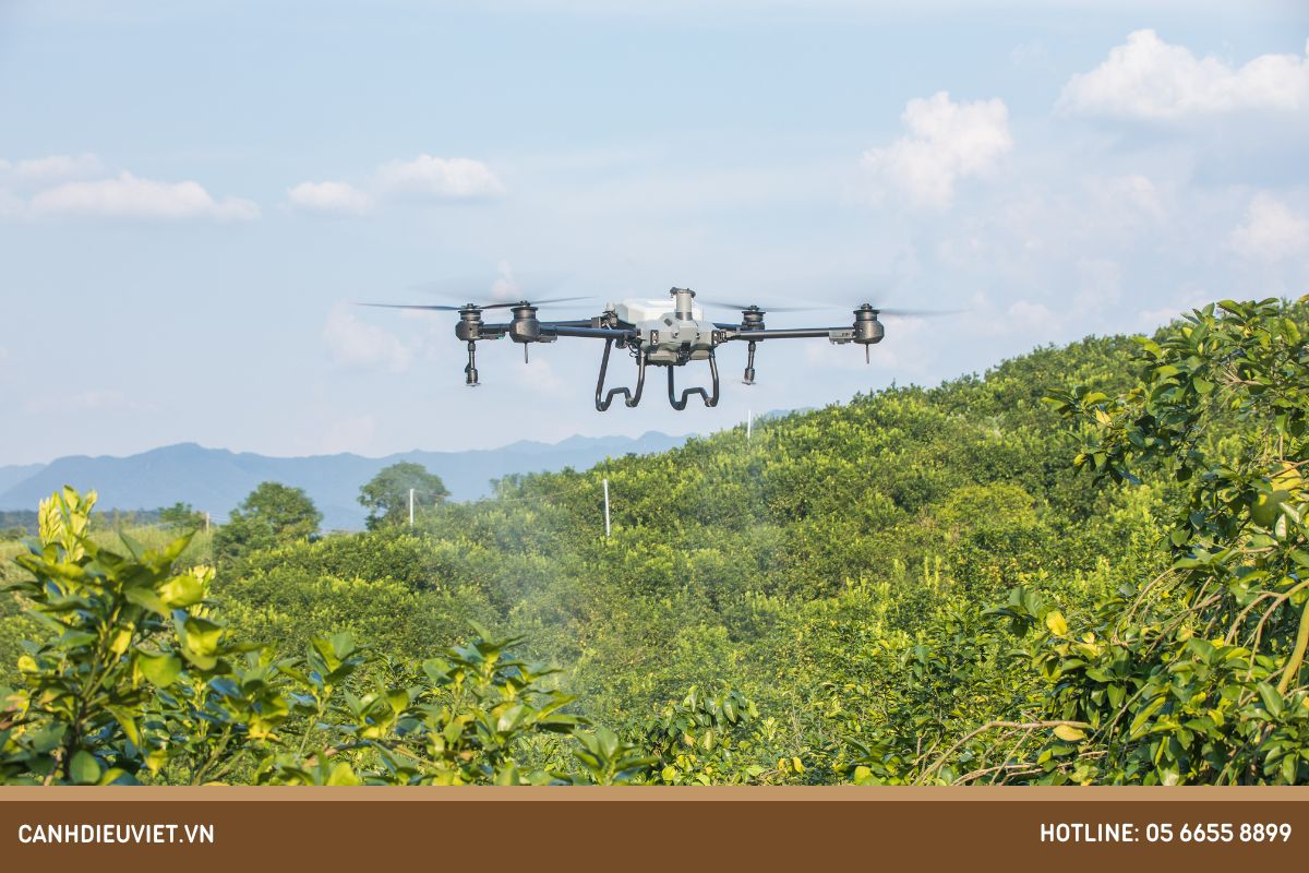 Ứng dụng công nghệ mới vào công tác phòng chống sâu bệnh cho cây xoài