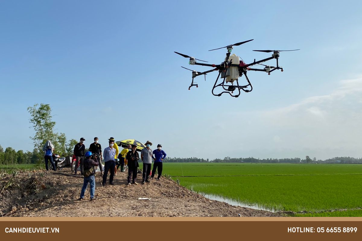 Lúa trổ đều xịt thuốc gì? Cách chăm sóc lúa giai đoạn làm đòng 18 Ứng dụng máy bay không người lái phun thuốc cho lúa