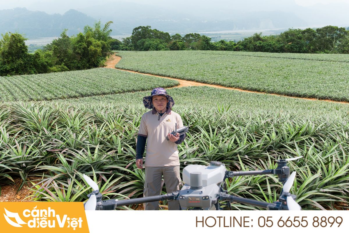 Máy Bay Phun Thuốc Cho Cây Dứa X2 Năng Suất, Giảm Chi Phí 5 Ứng dụng máy bay phun thuốc cho cây dứa