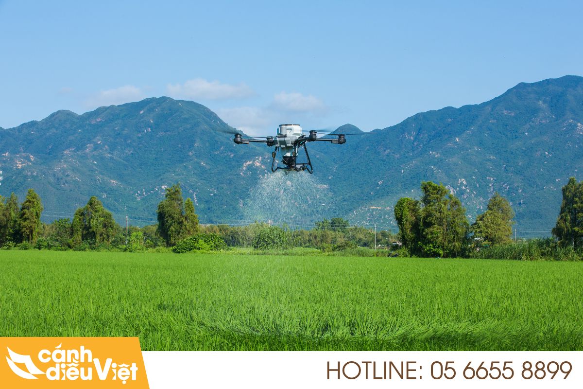 5+ Ứng dụng máy bay phun thuốc DJI T25P Trong Nông Nghiệp 6 Ứng dụng t25p rải thức ăn chăn nuôi
