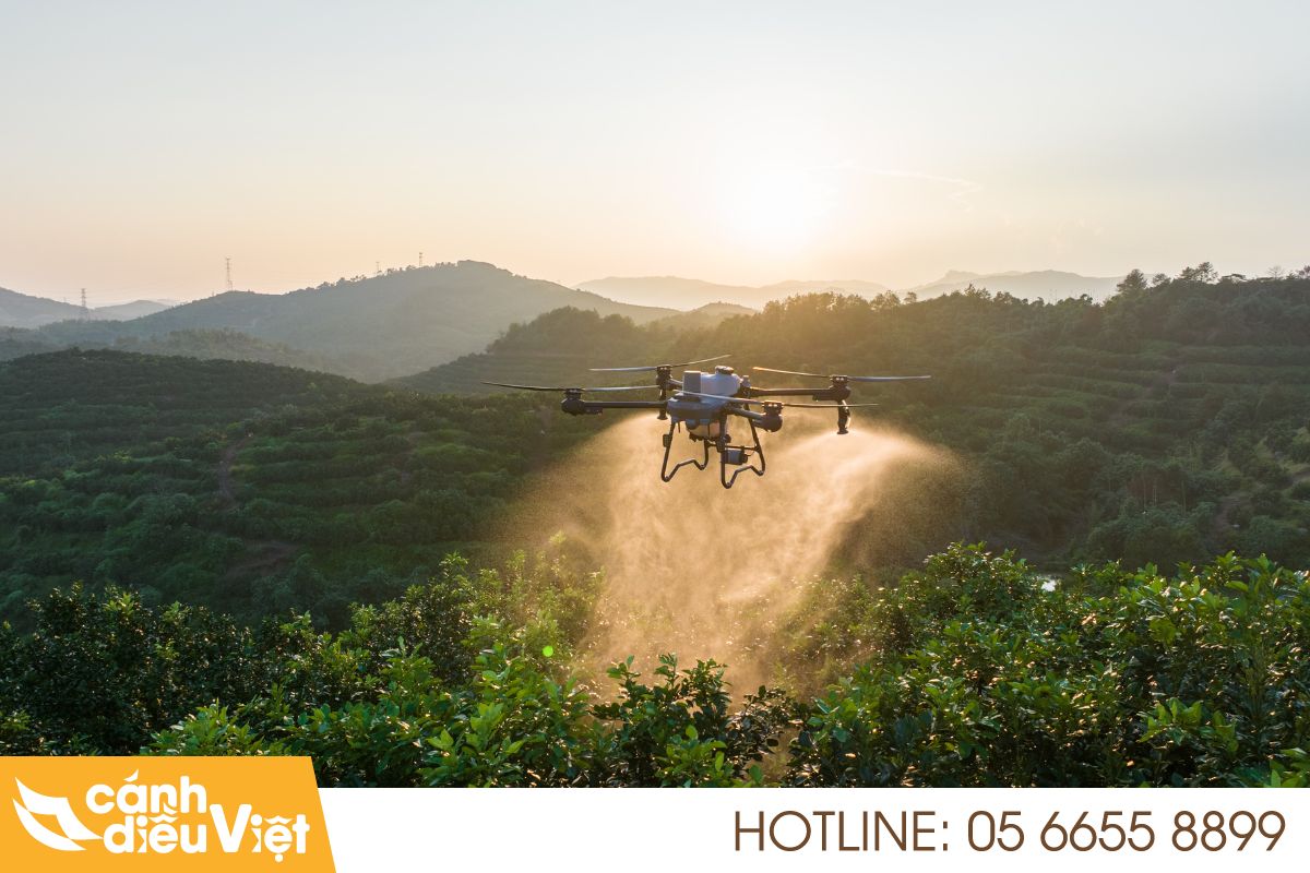 5+ Ứng dụng máy bay phun thuốc DJI T25P Trong Nông Nghiệp 5 Ứng dụng t25p tưới nước bổ sung