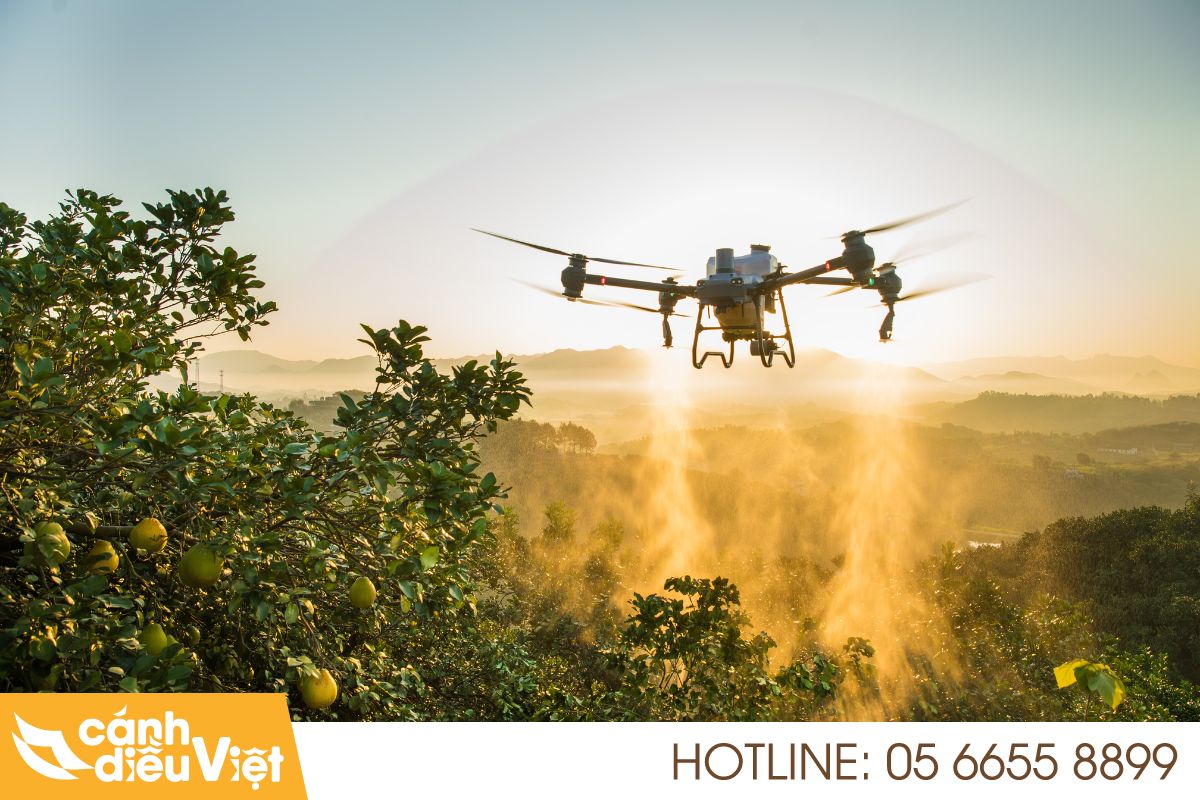 Ứng dụng thực tế máy bay phun thuốc tại Hải Phòng