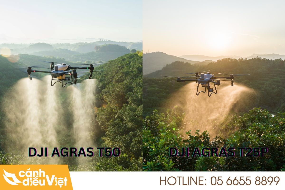 So sánh DJI T25P và DJI T50: Nên chọn dòng nào phù hợp? 4 Ưu nhược điểm giữa dji t25p và t50