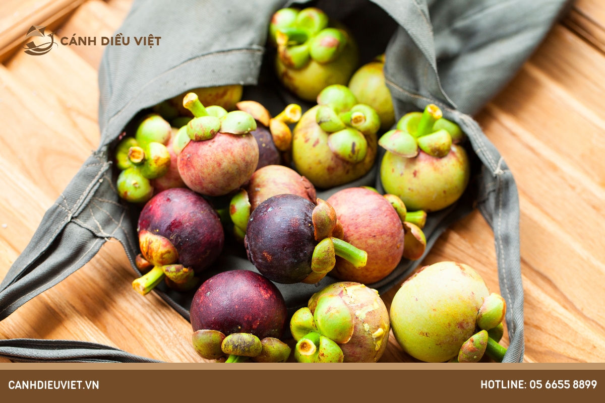 Yếu tố ảnh hưởng đến giá quả măng cụt