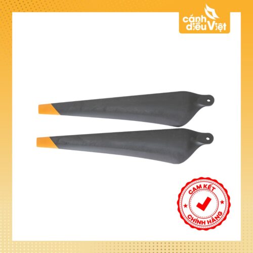 cặp cánh CW