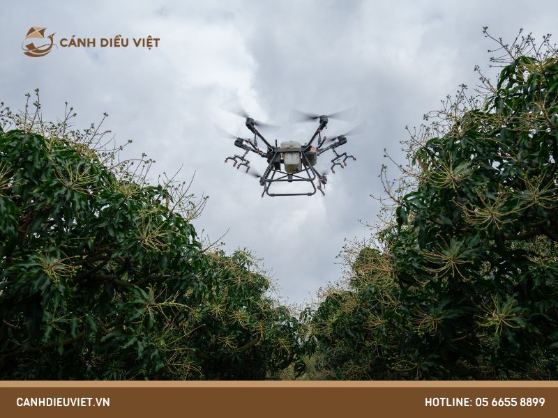 giá máy bay phun thuốc dji t30