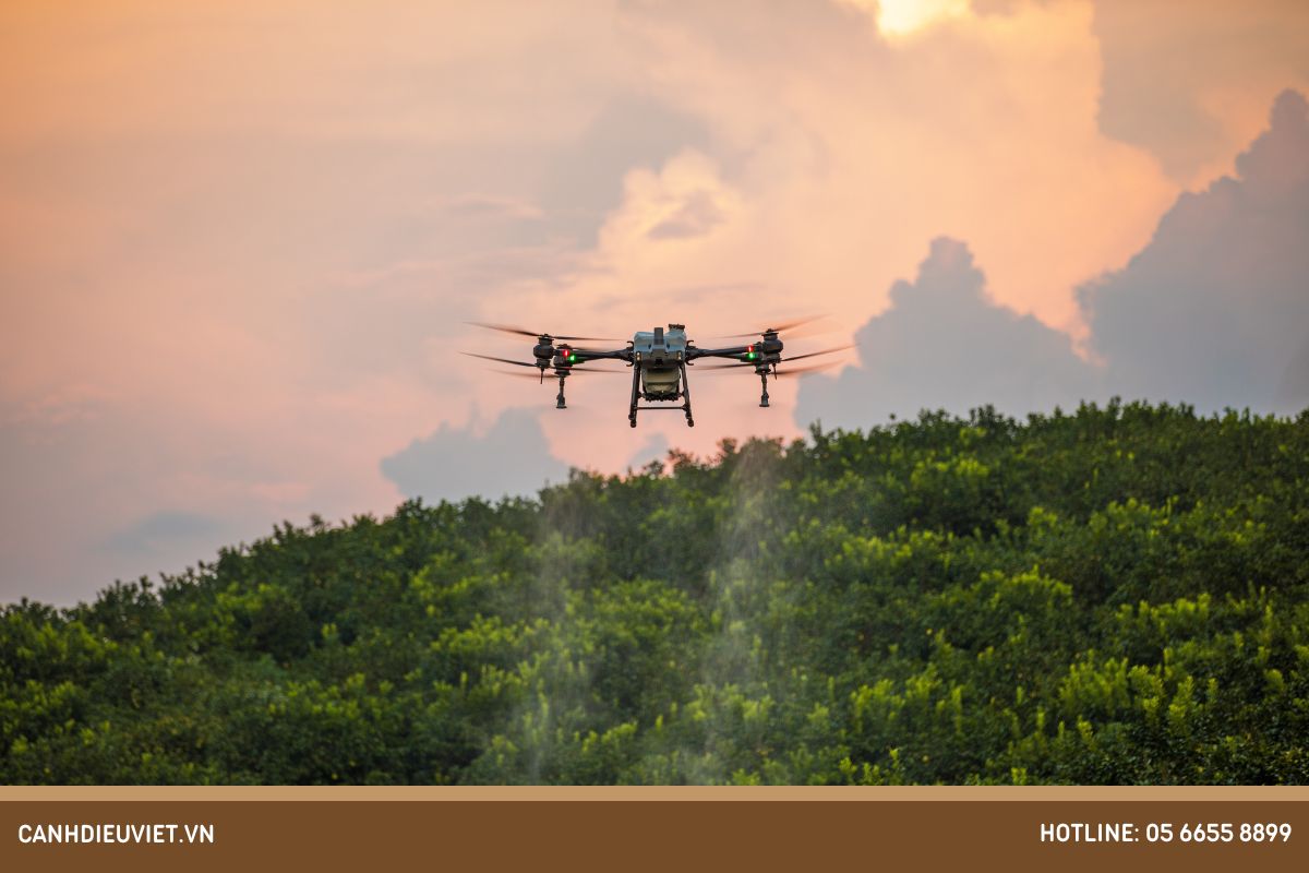 máy bay phun thuốc DJI T40
