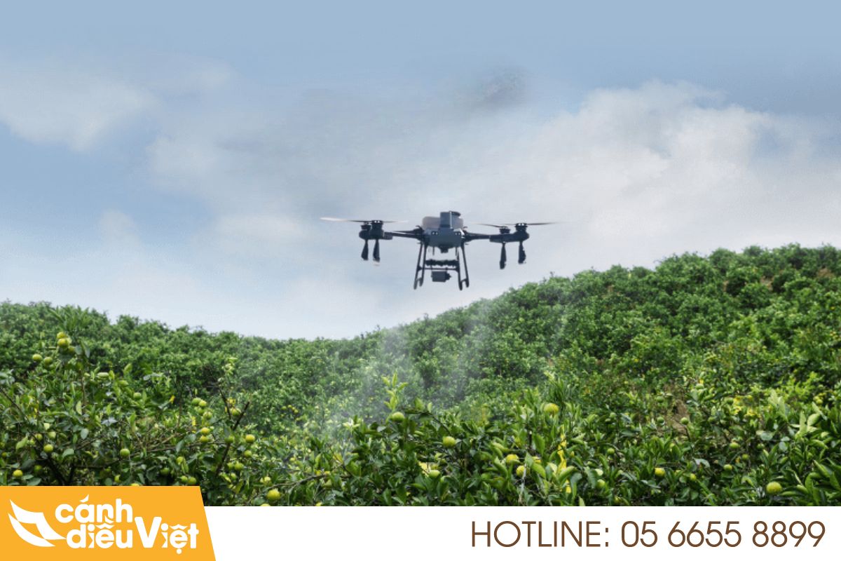 Máy Bay Phun Thuốc Cho Cây Cam, Quýt Giúp Tăng Hiệu Quả 397 máy bay phun thuốc cho cây cam, quýt