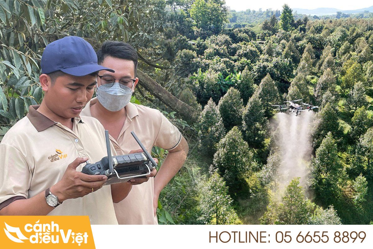 Máy Bay Phun Thuốc Cho Cây Sầu Riêng X2 Năng Suất 437 máy bay phun thuốc cho cây sầu riêng