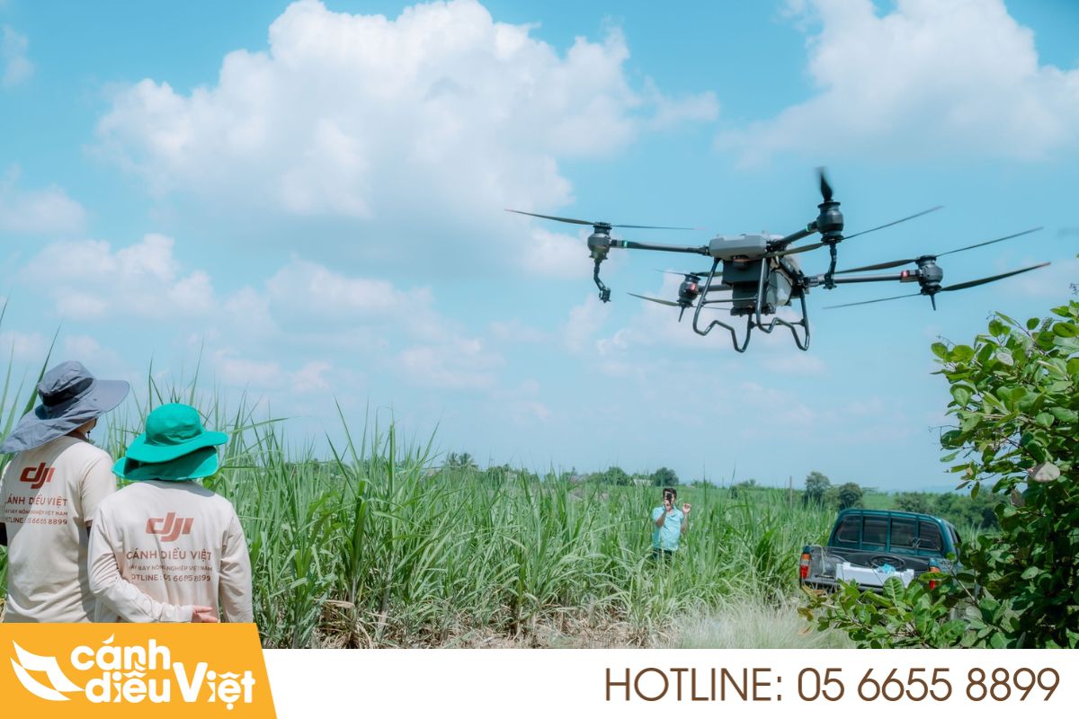 máy bay phun thuốc cho cây trồng