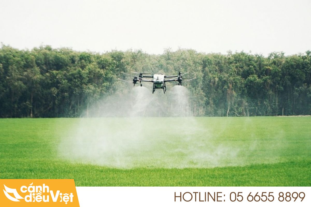Máy Bay Phun Thuốc Thái Bình: Giải Pháp Nông Nghiệp 4.0 706 máy bay phun thuốc tại Thái Bình