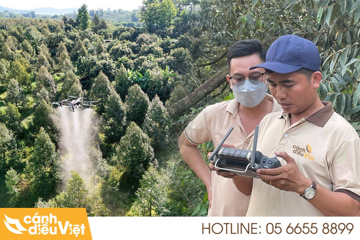 Sử dụng máy bay phun thuốc xịt thuốc kéo đọt vô phân 71 máy bay phun thuốc xịt thuốc kéo đọt vô phân