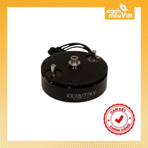Trang chủ 1238 motor 10018