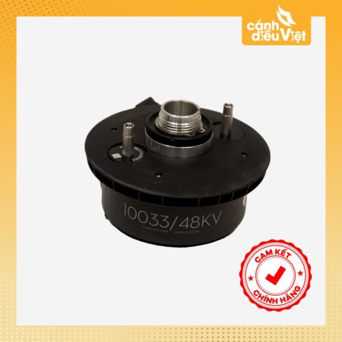 motor 10033