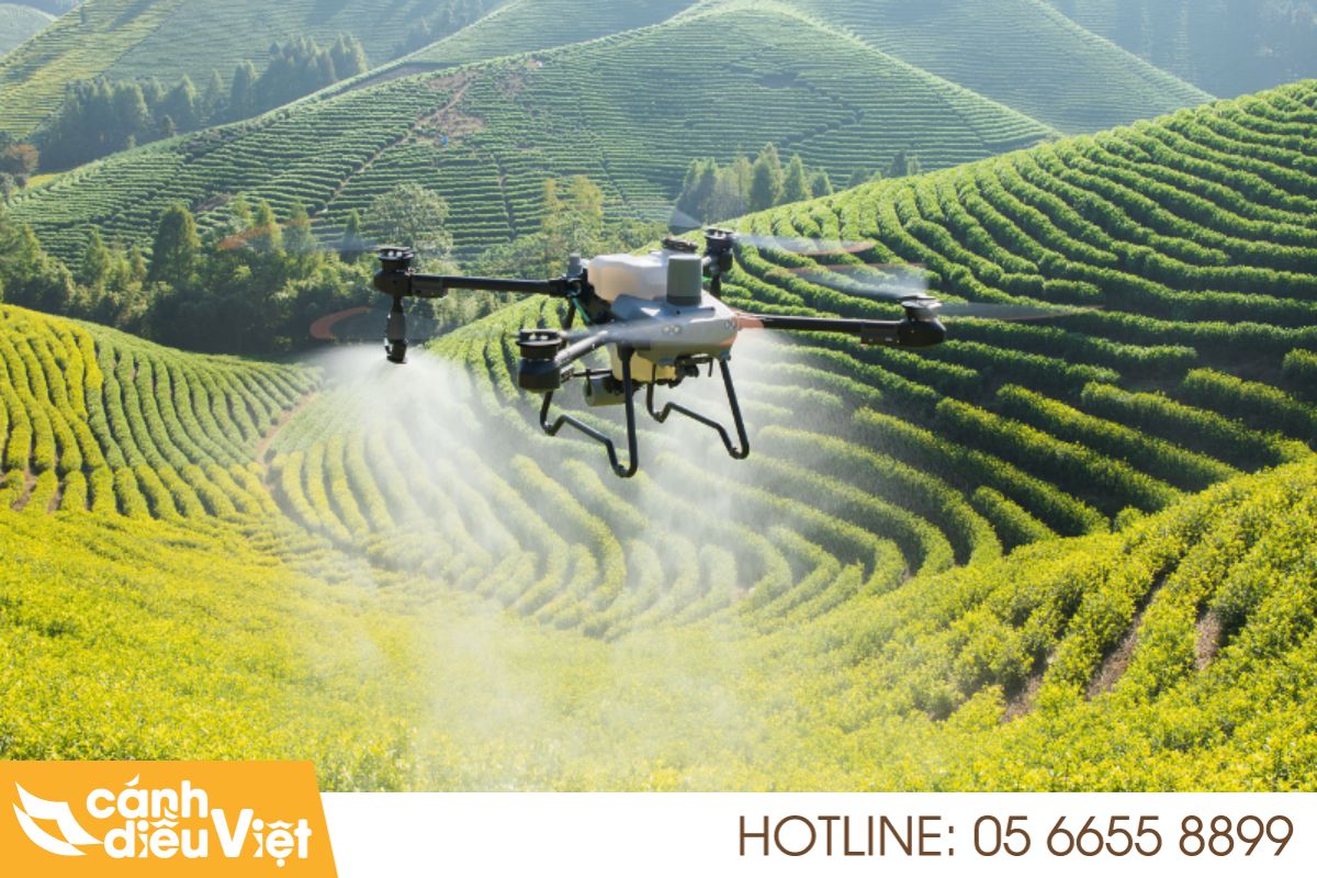 7+ ứng dụng máy bay phun thuốc DJI T25 trong nông nghiệp 4 phun thuốc bảo vệ thực vật