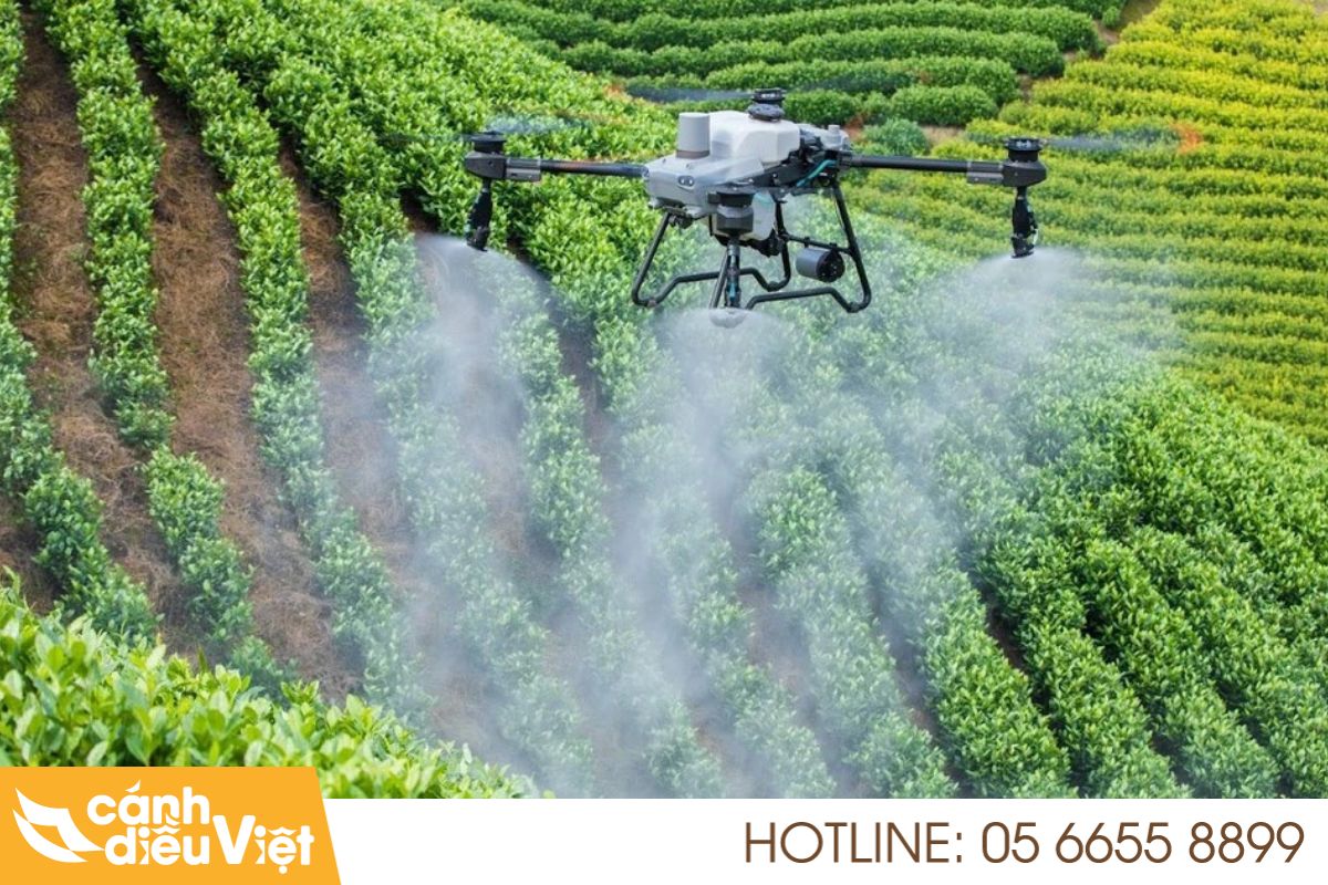 Review DJI Agras T25: Liệu có đáng để đầu tư? 470 review dji agras t25