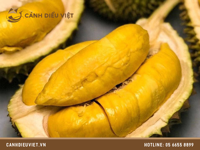 sau rieng nhung thuoc 03