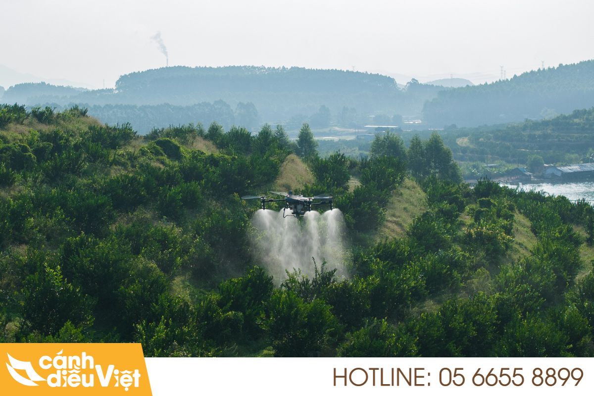 Sử dụng máy bay phun thuốc xịt thuốc kéo đọt vô phân 4 sử dụng máy bay phun thuốc xịt thuốc kéo đọt vô phân