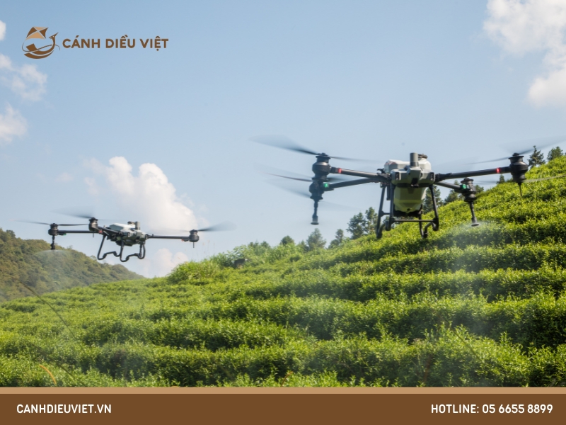 máy bay phun thuốc DJI T40 và DJI T20P