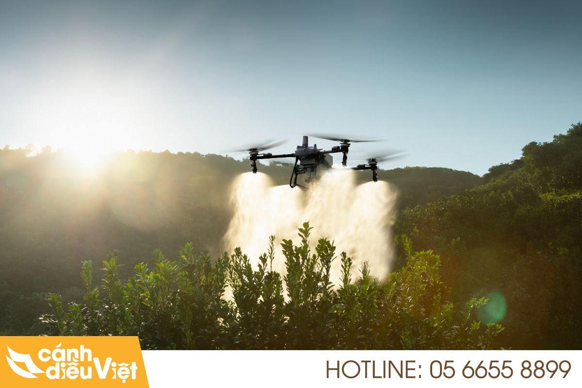 Ứng dụng Máy bay DJI T70P phun thuốc cho cây cao su 5 tính năng nổi bật khi phun cao su bằng dji t70p