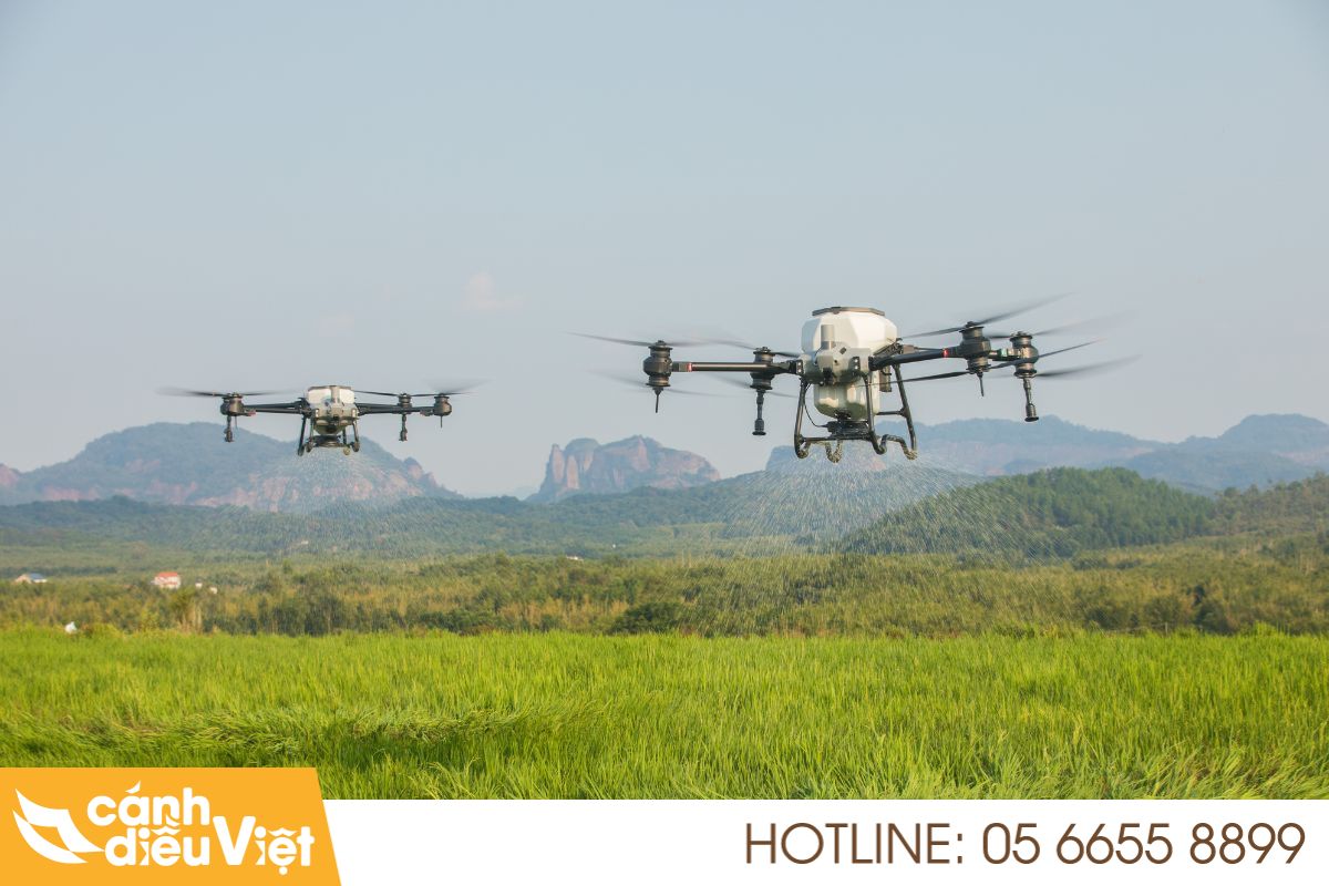 Ưu Và Nhược Điểm Của Máy Bay Phun Thuốc Trừ Sâu Đối Với Nền Nông Nghiệp 3 ưu điểm của máy bay phun thuốc